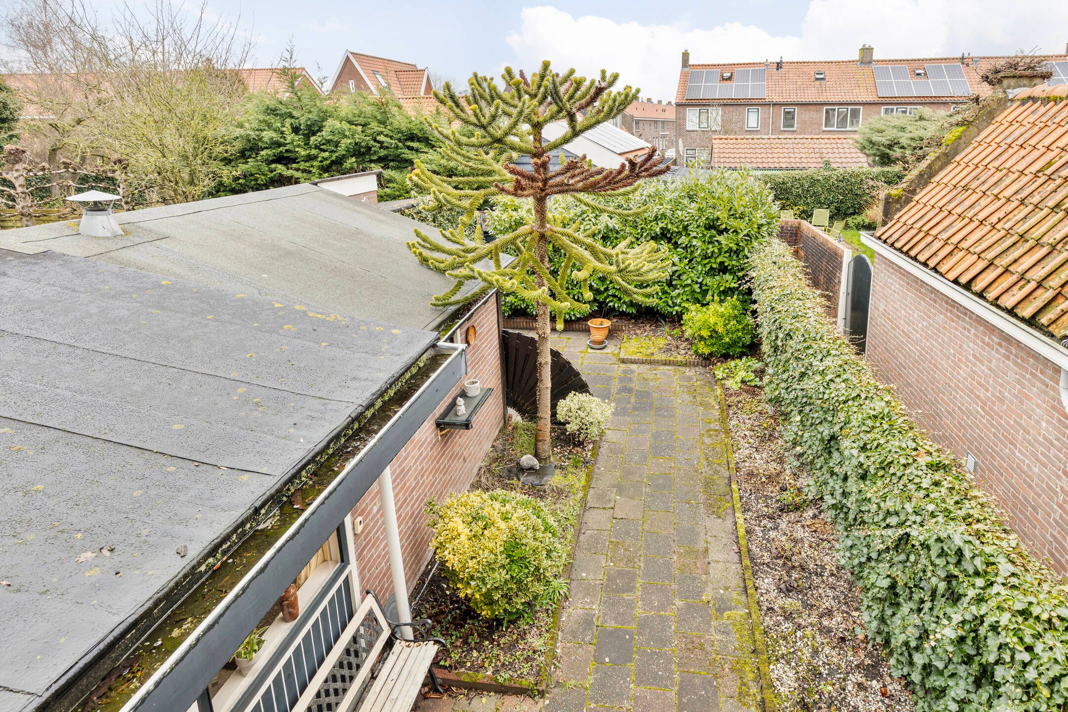 Foto 33 van Groenland 5