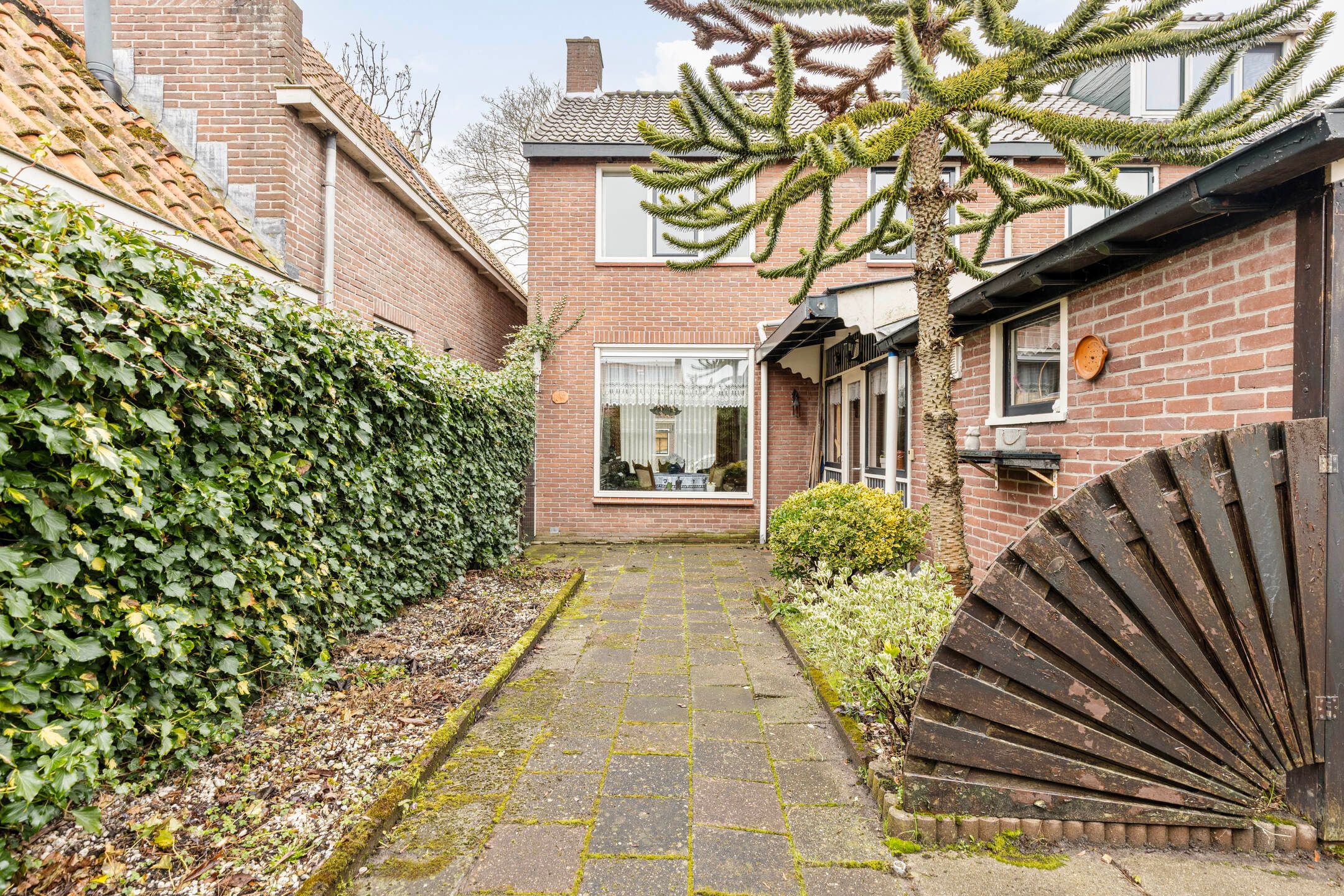 Foto 6 van Groenland 5