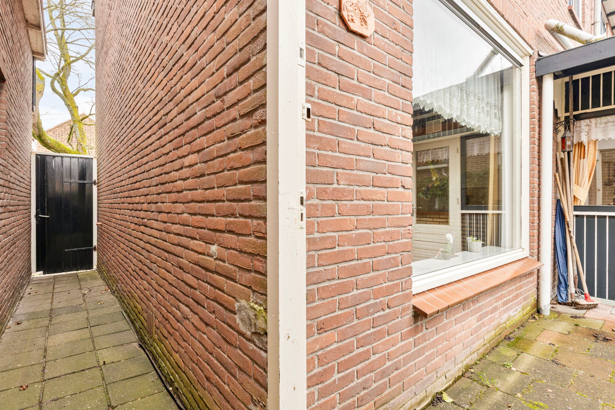 Foto 36 van Groenland 5