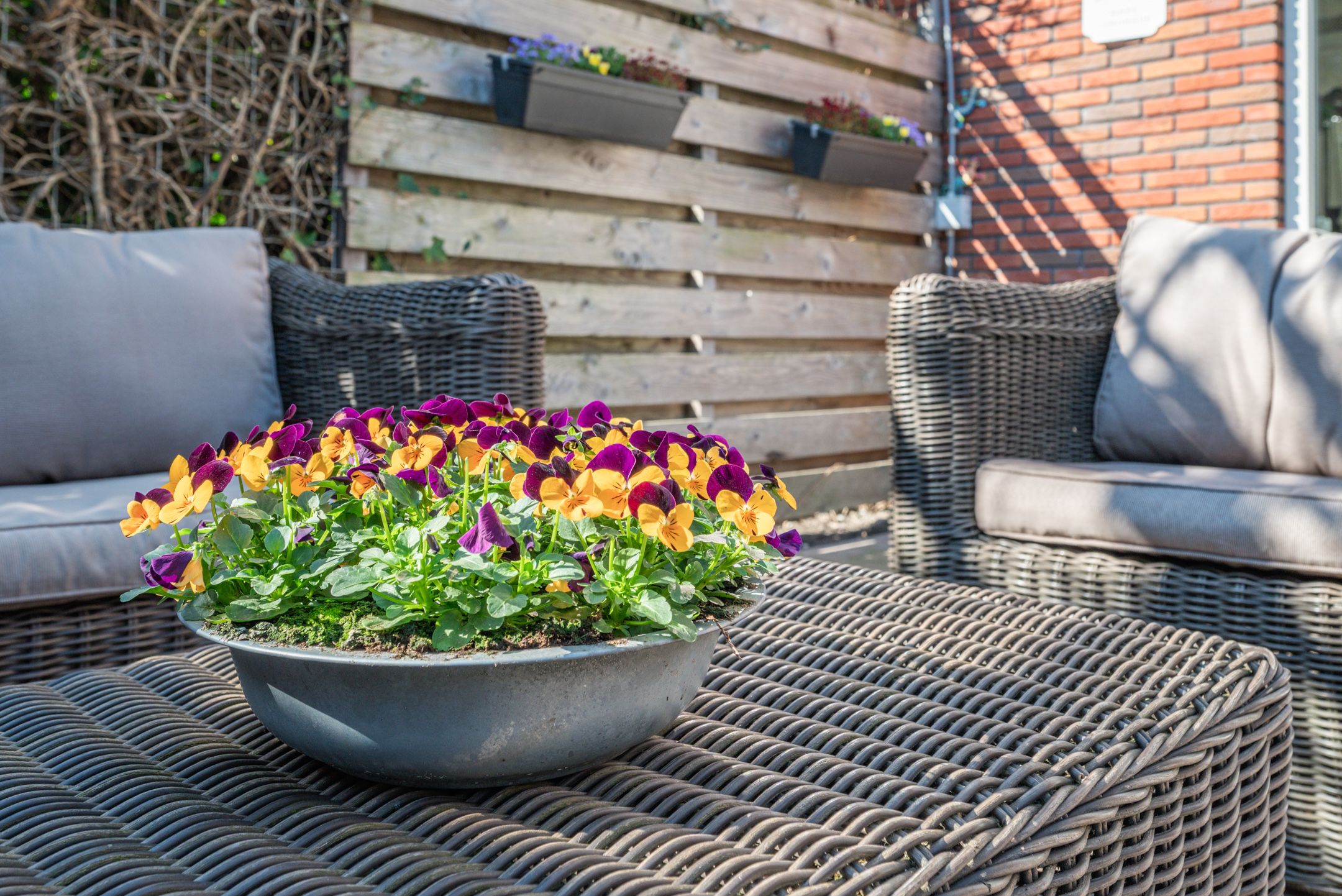 Foto 48 van Ad van der Steurzoom 44