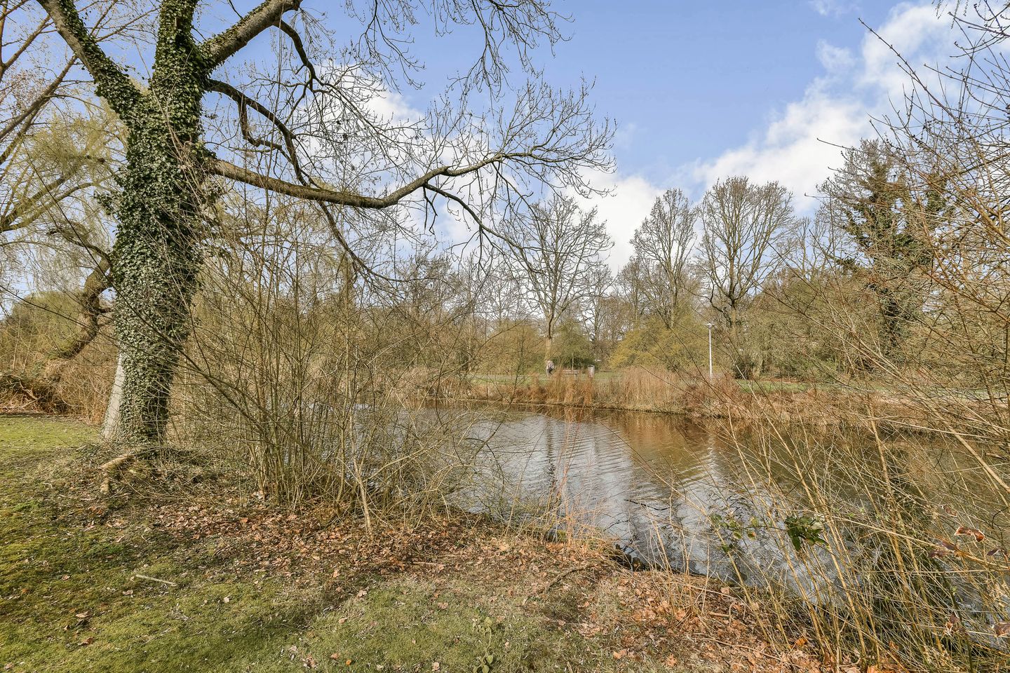 Photo 20 of Assumburg 9