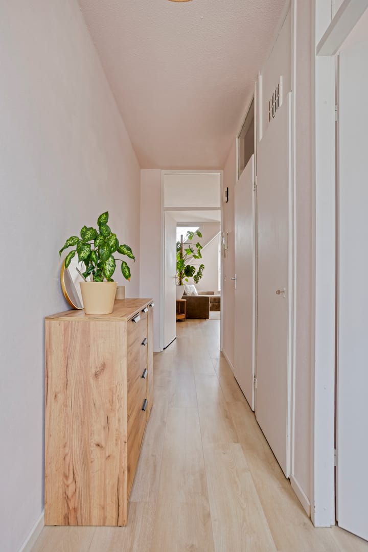 Photo 4 of Terwaenen 88