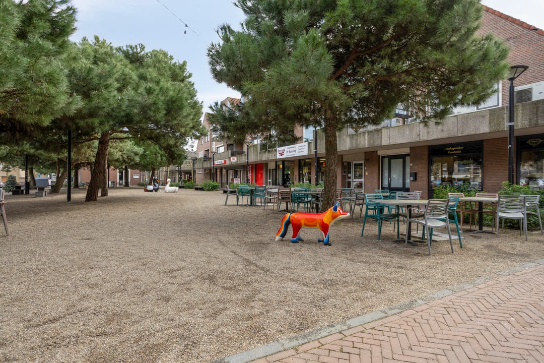 Foto 31 van Terwaenen 88