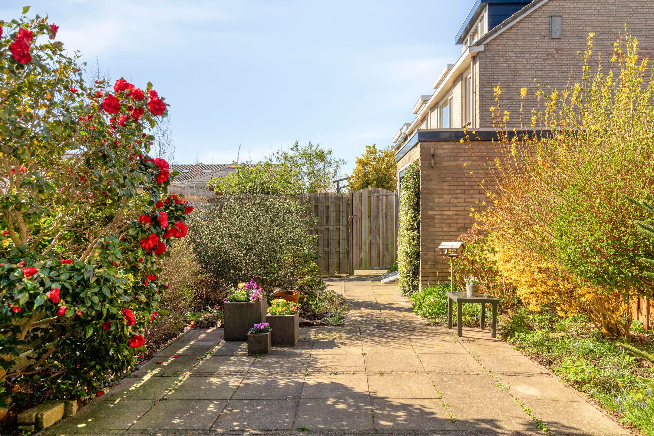 Photo 30 of Essenlaan 18