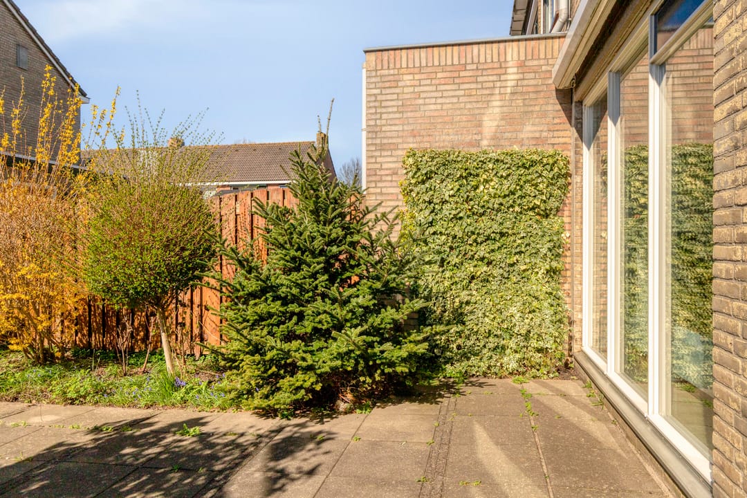 Photo 31 of Essenlaan 18