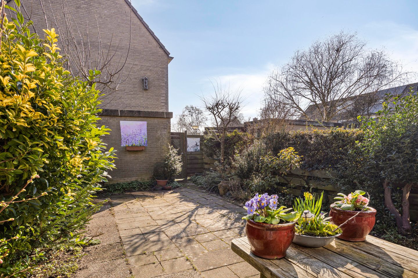 Foto 29 van Woutertje Pietersestraat 7