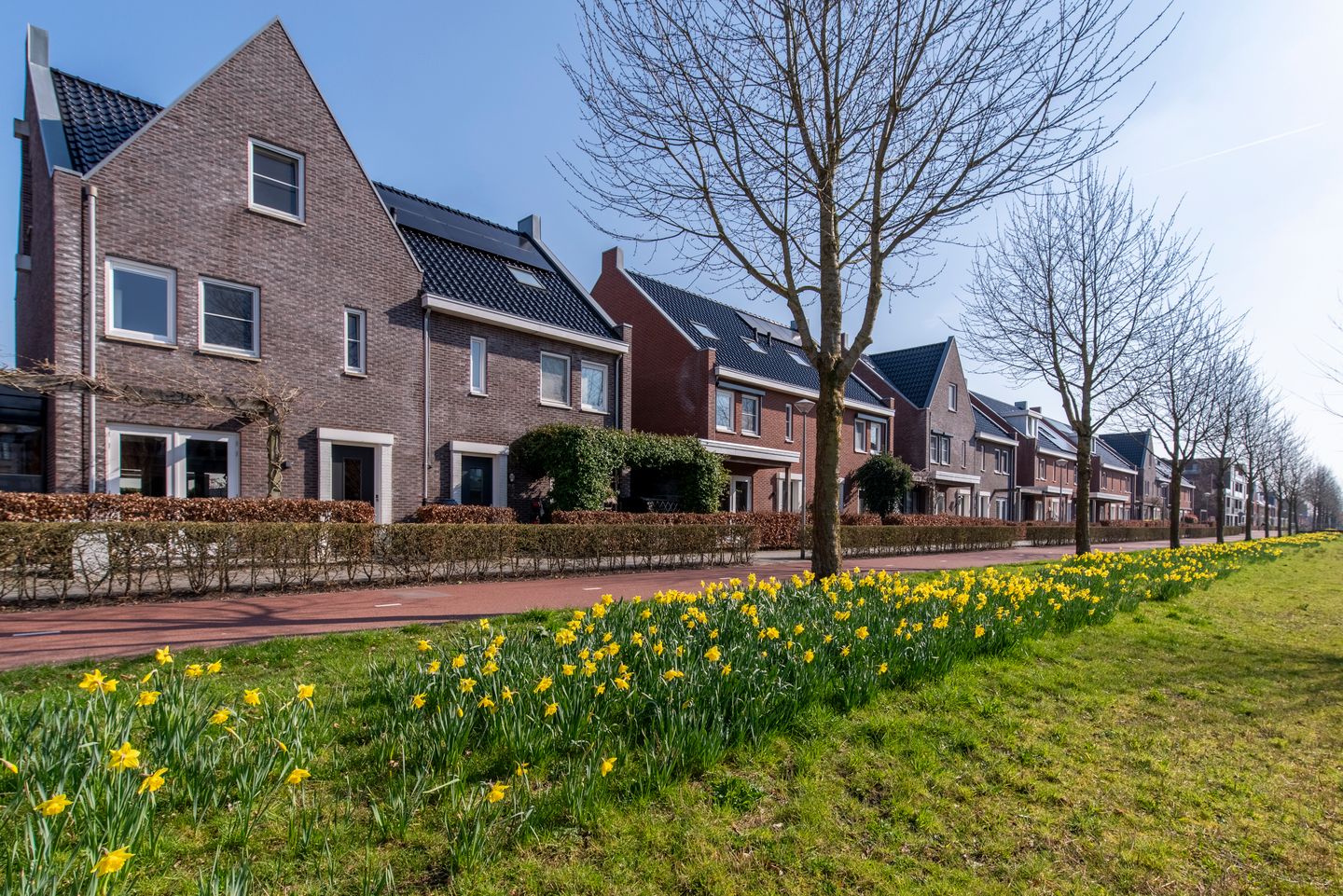 Foto 5 van Van Barnevelderf 27