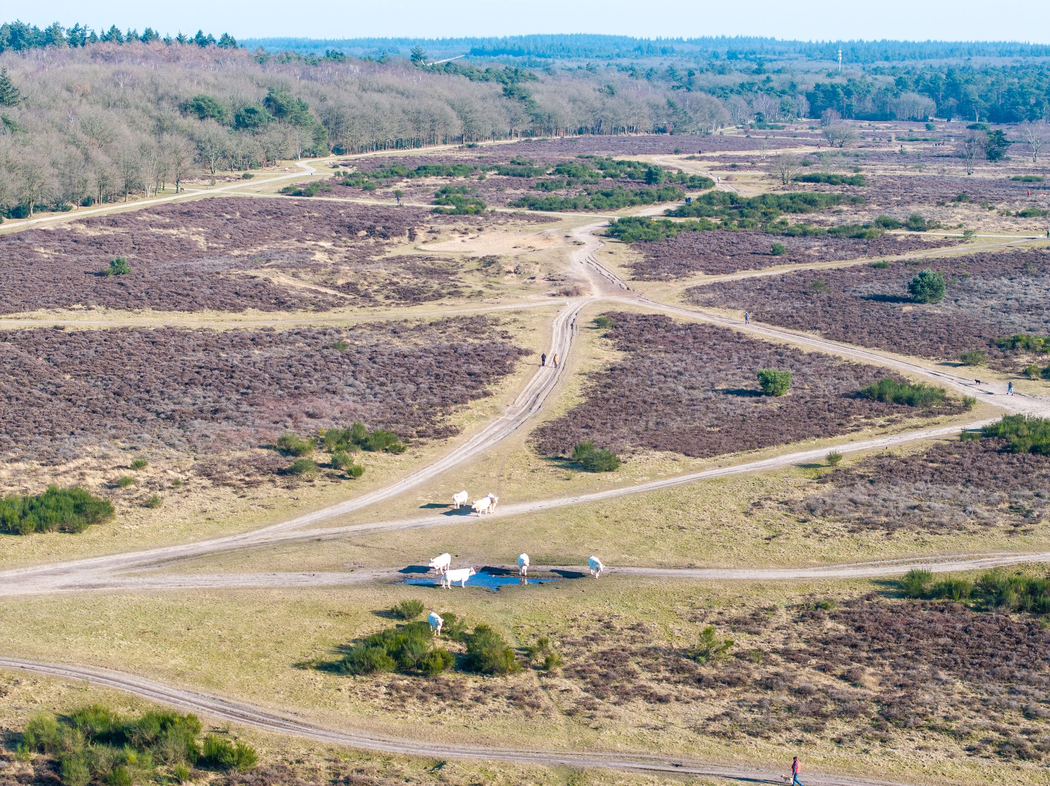 Foto 33 van J. van Galenstraat 25-A