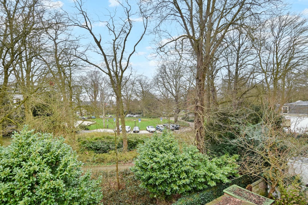 Photo 47 of Hofwijckstraat 16