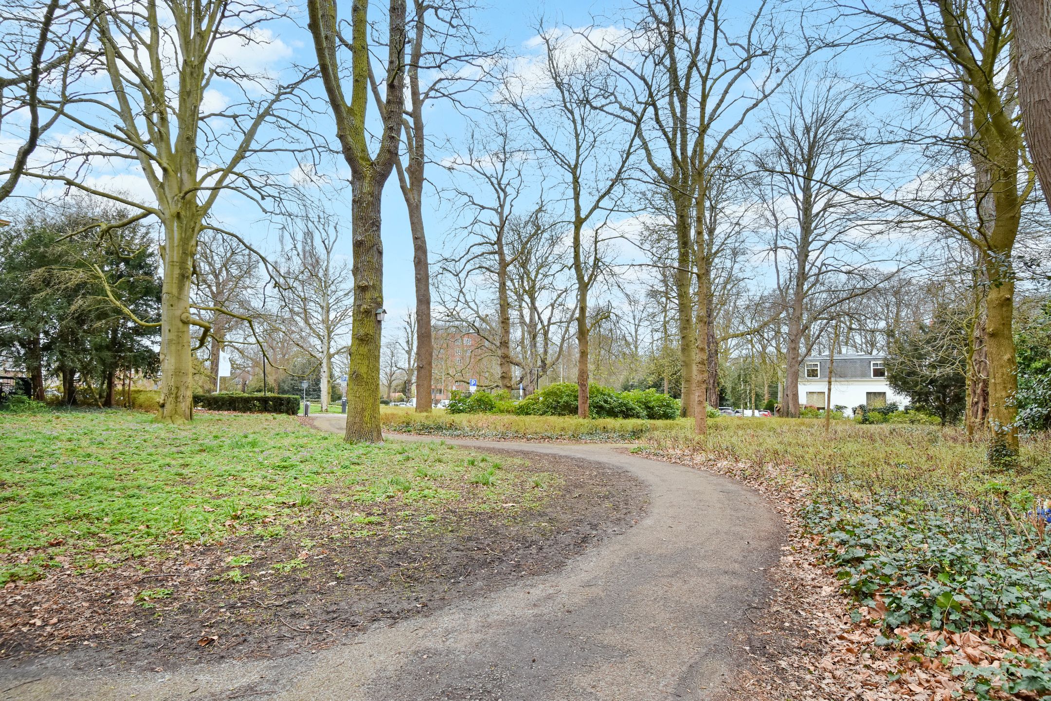 Photo 57 of Hofwijckstraat 16