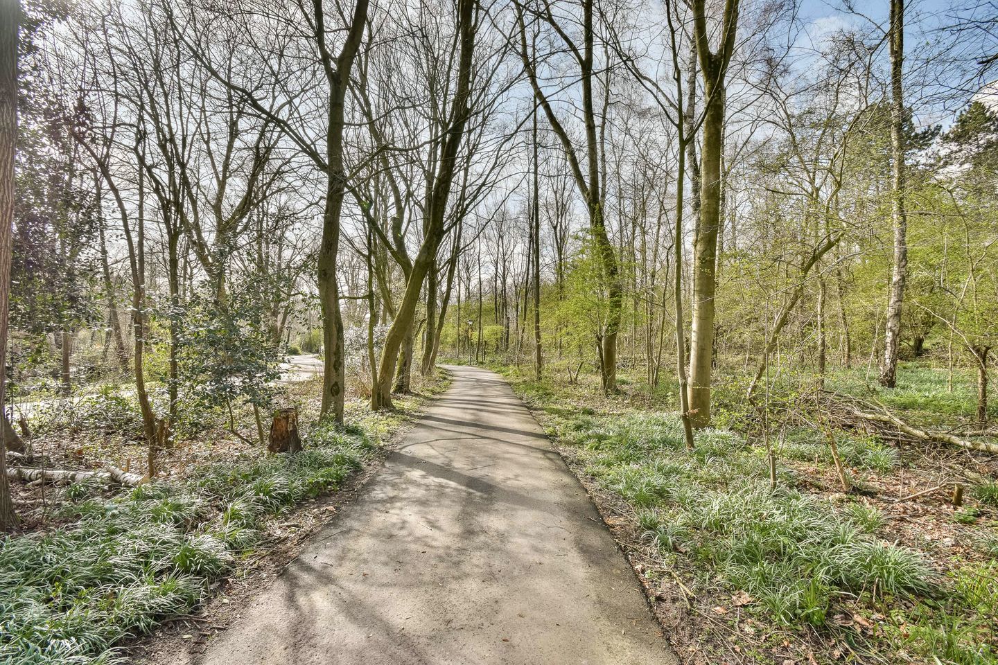 Photo 25 of Winkelhoeve 36