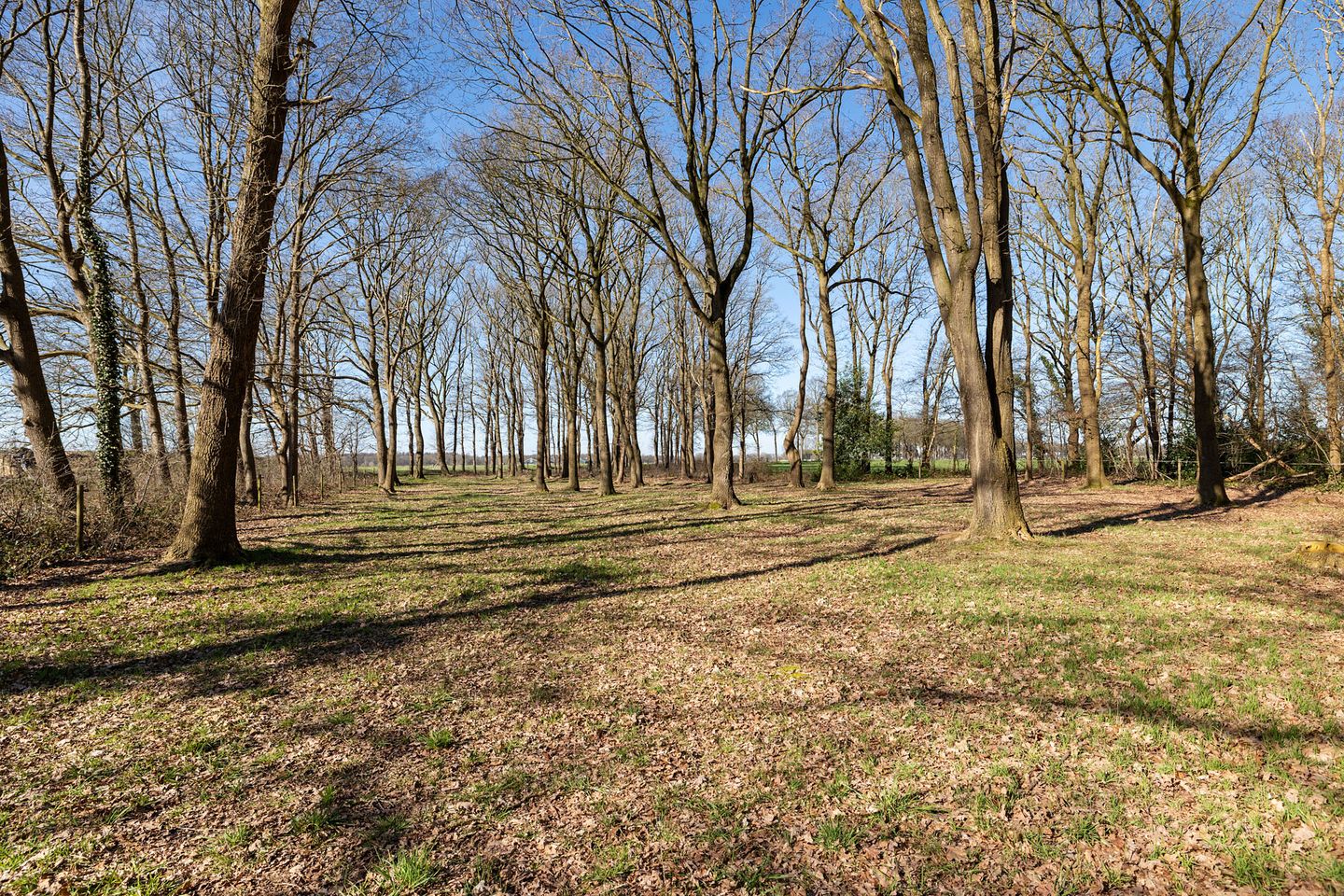 Foto 49 van Brugstraat 2