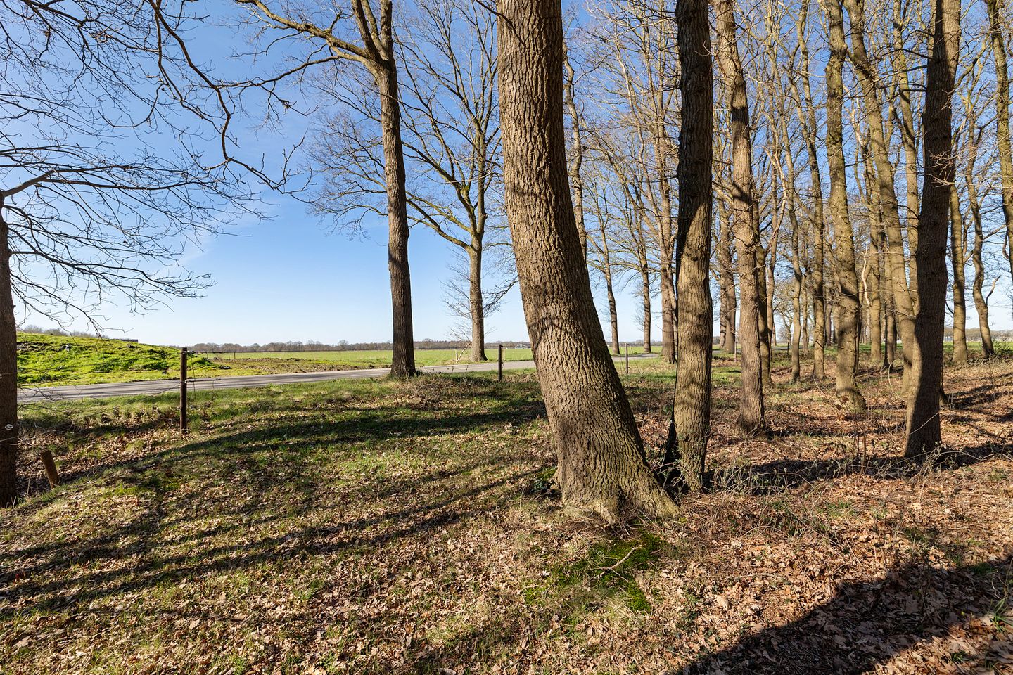 Foto 50 van Brugstraat 2