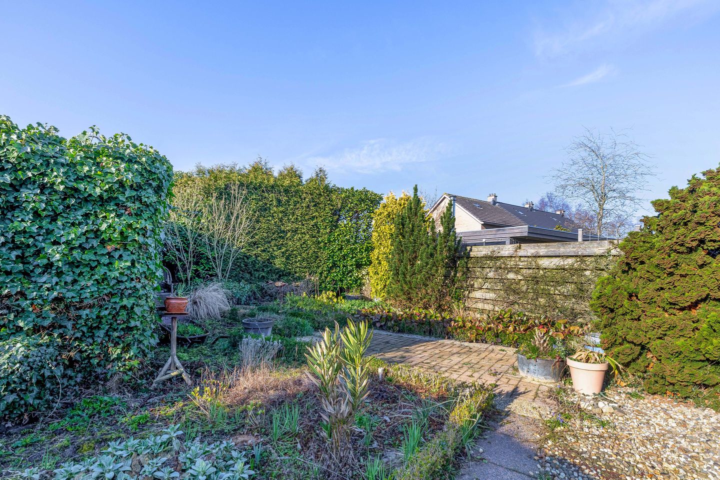 Foto 4 van Dr. Poelsstraat 21