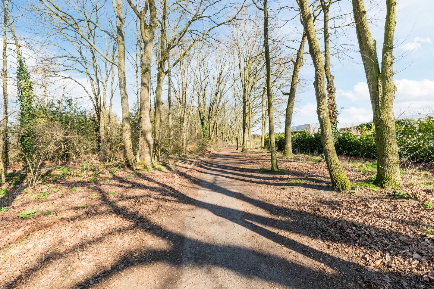 Foto 50 van van de Venstraat 2