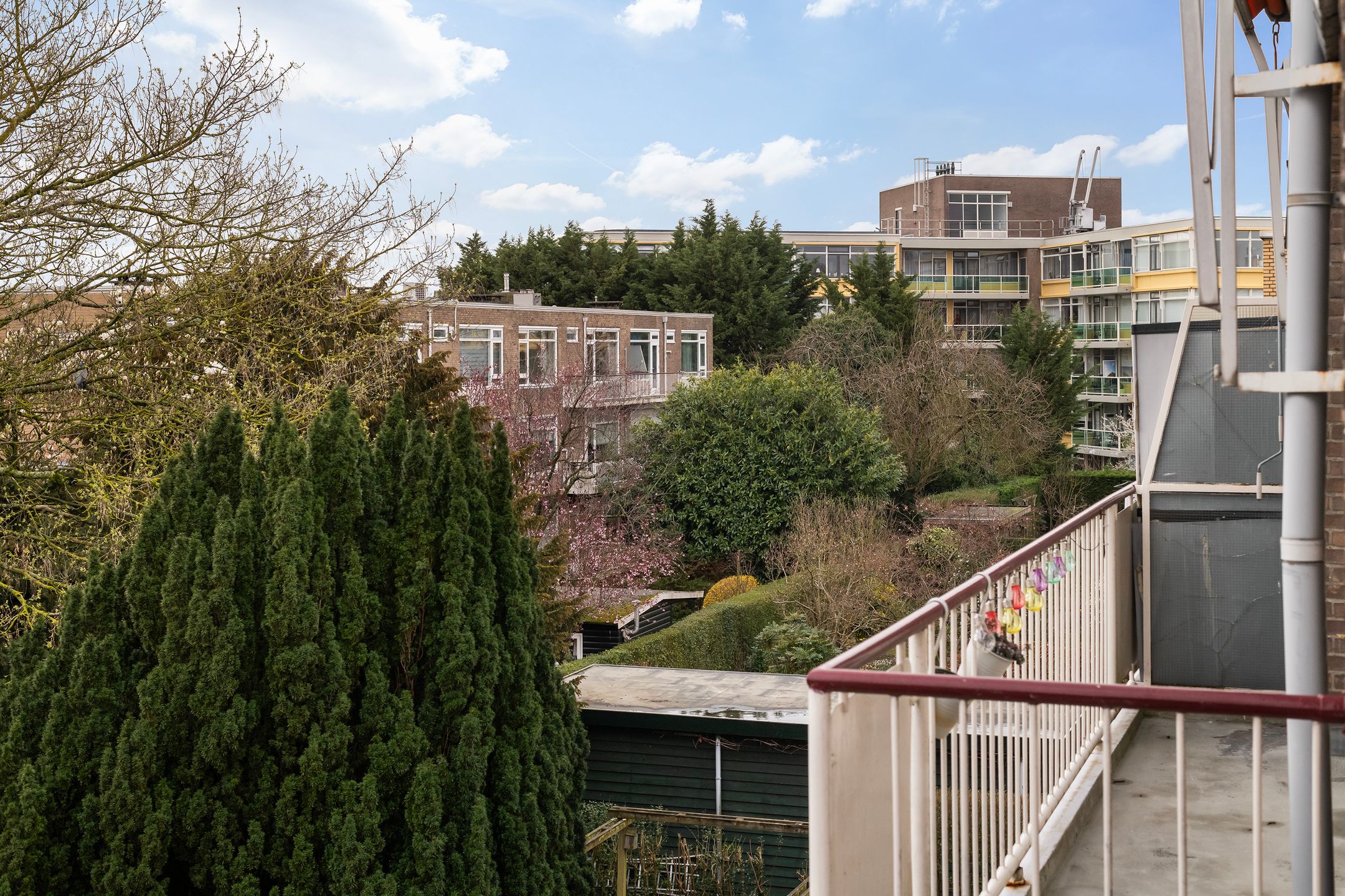 Foto 15 van Mendelssohnlaan 75