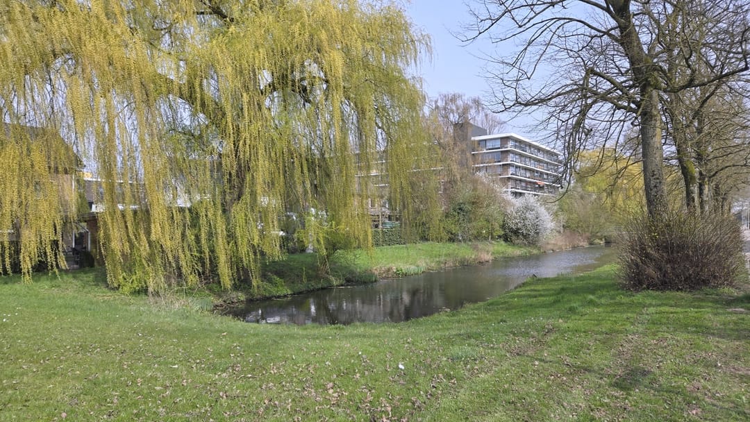 Foto 2 van Wildenborglaan 4-1