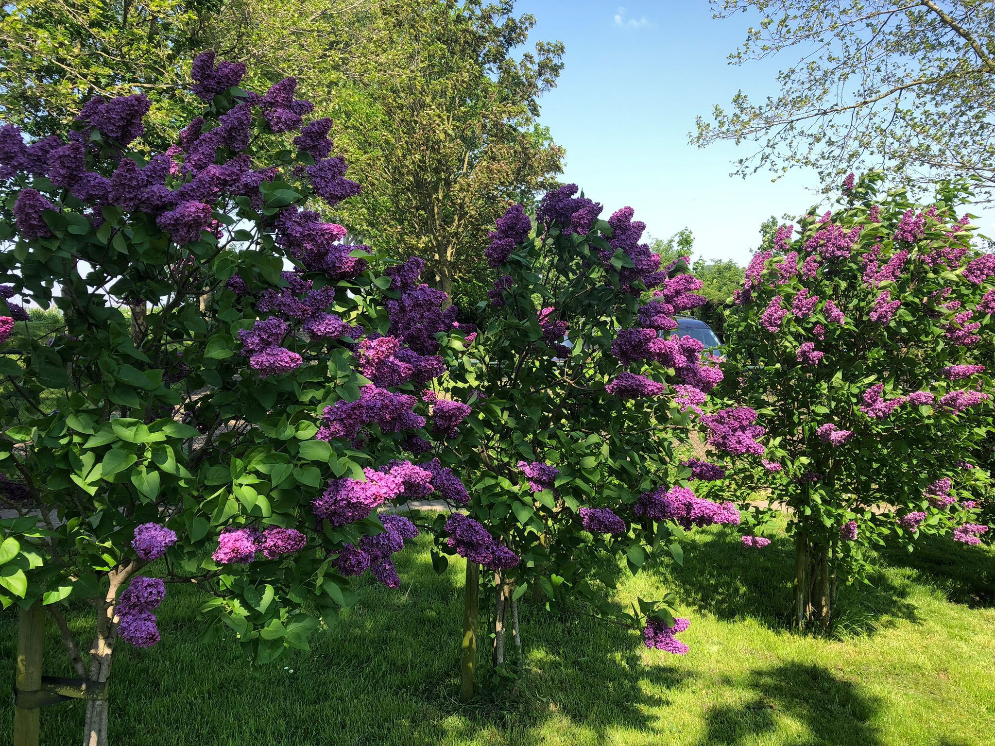 Foto 63 van Galathesedijk 5