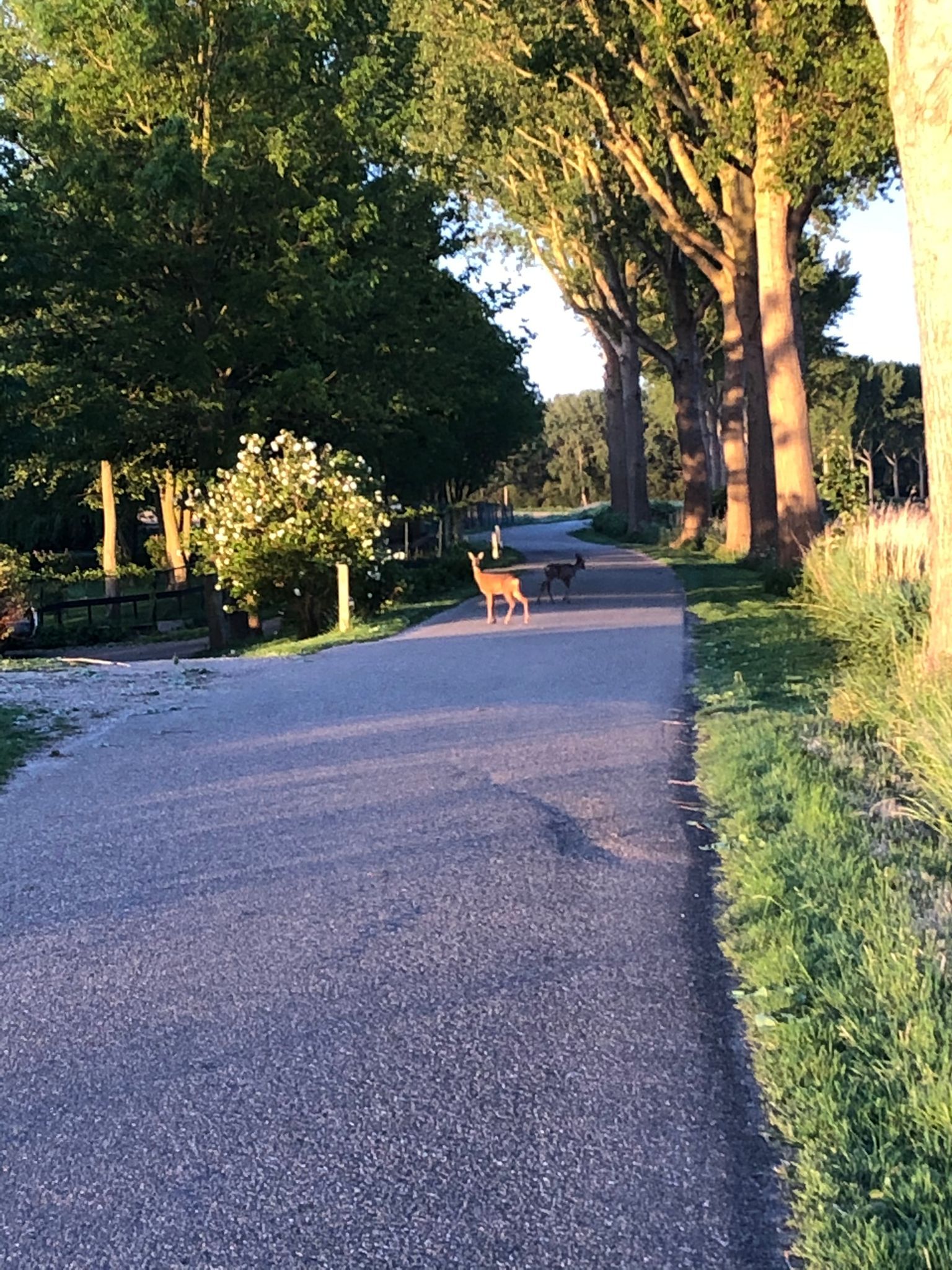 Foto 66 van Galathesedijk 5