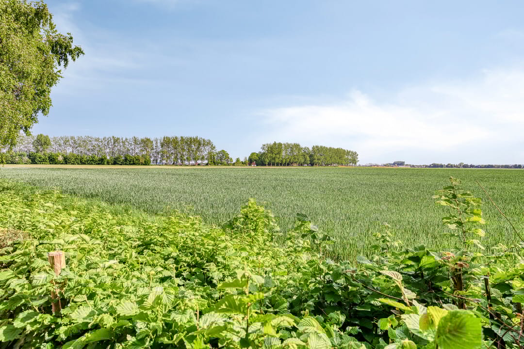 Photo 32 of Hoefkensdijk 9