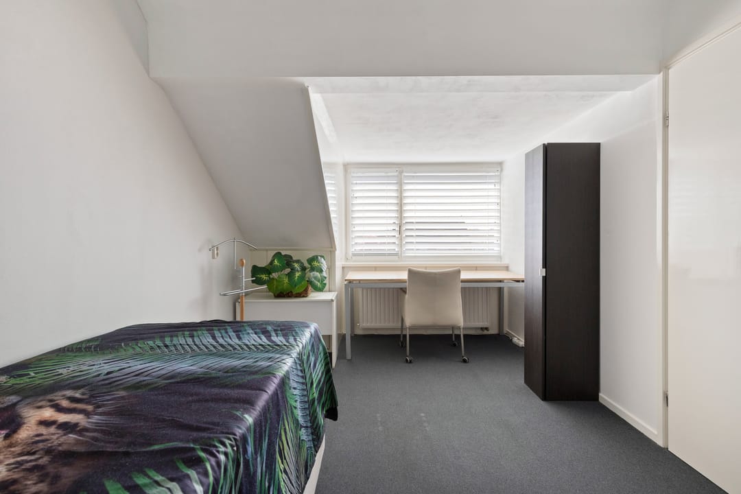 Foto 43 van Slegersstraat 19