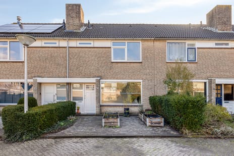 Turijnstraat thumbnail