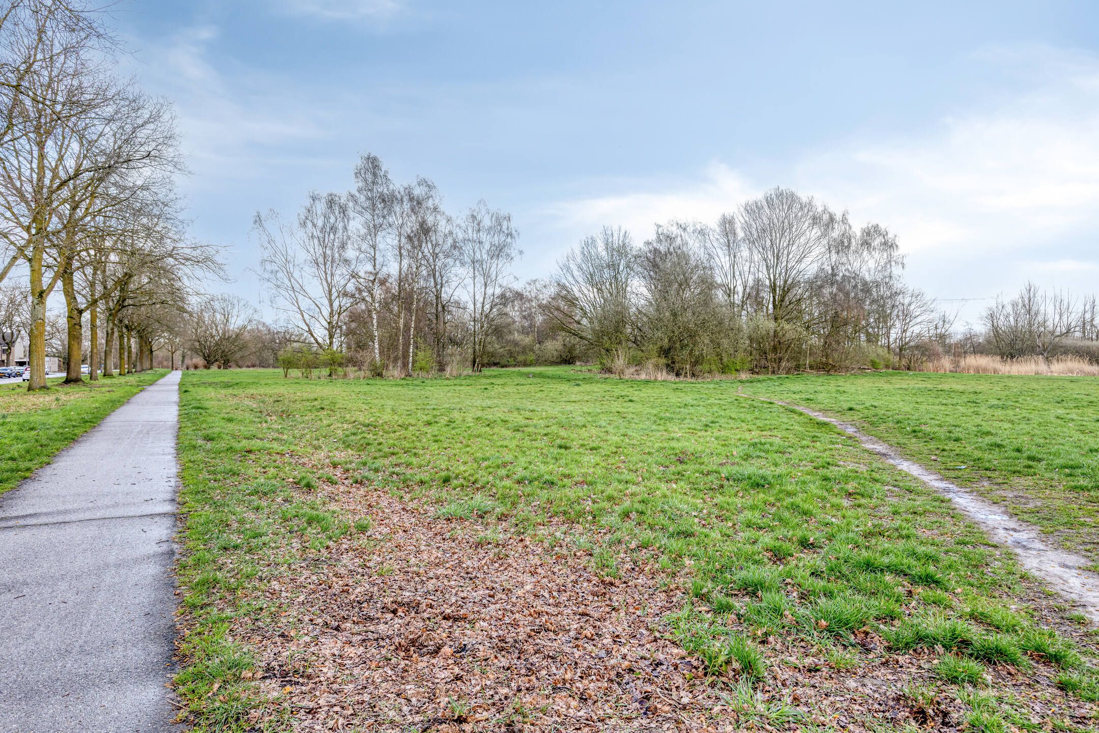 Foto 42 van Turijnstraat 20