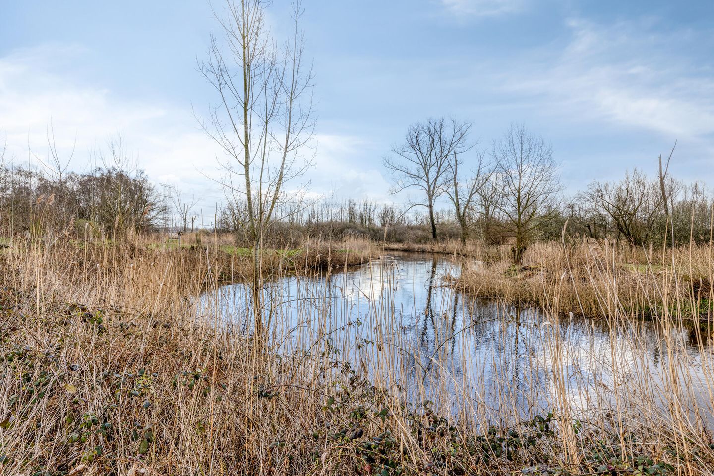 Foto 44 van Turijnstraat 20