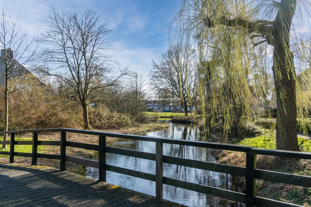 Foto 56 van Obriglaan 41