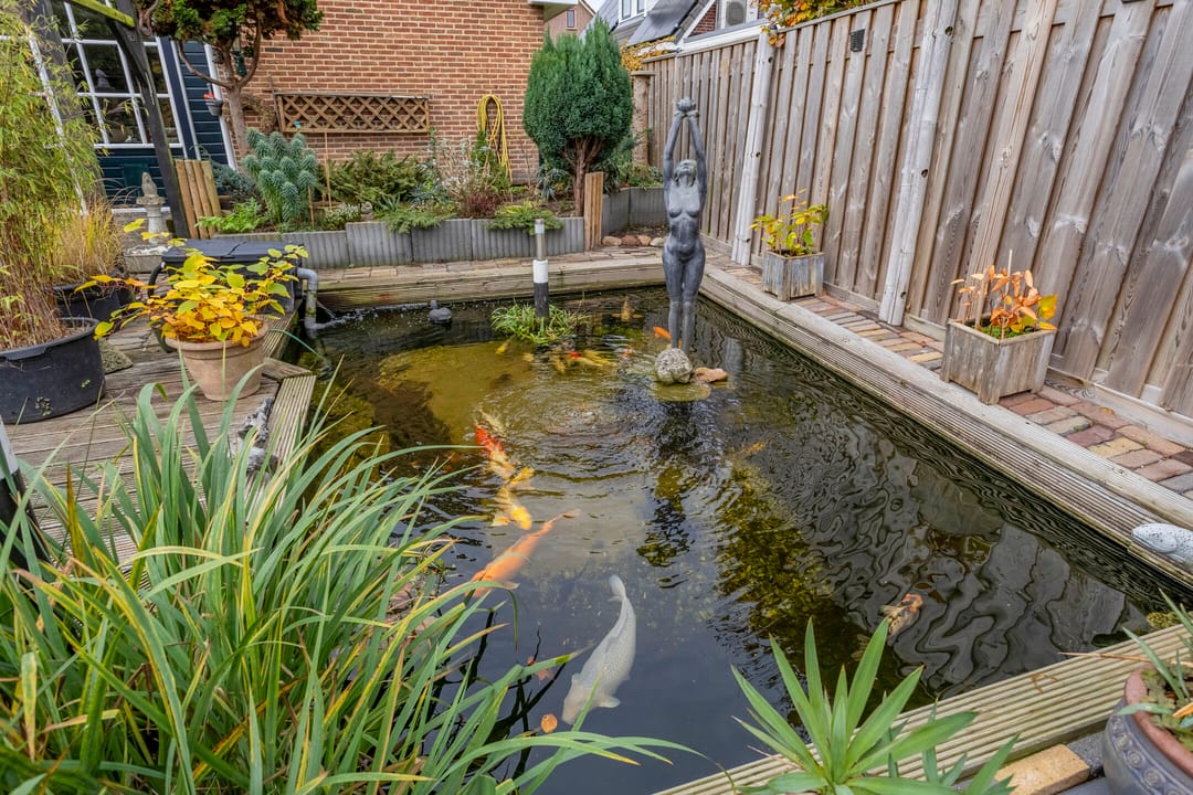 Foto 56 van Wanne 16