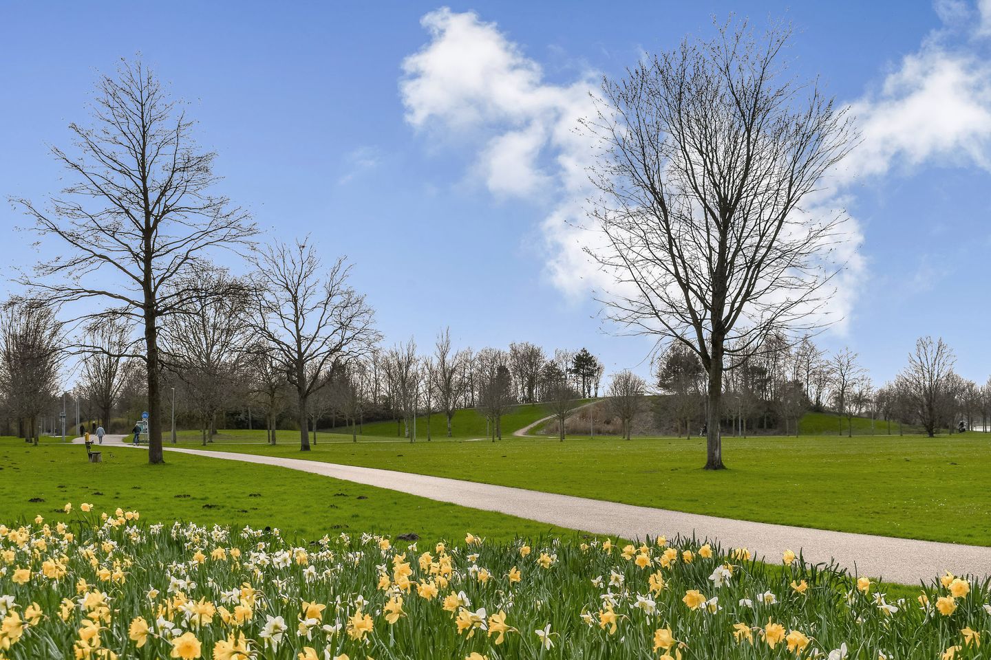 Foto 35 van Ina Boudier-Bakkerdreef 16