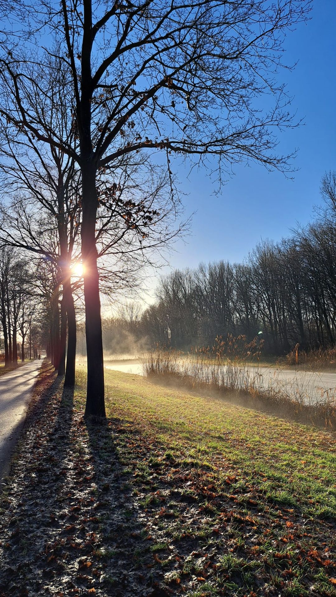 Photo 28 of Jarenweg 45
