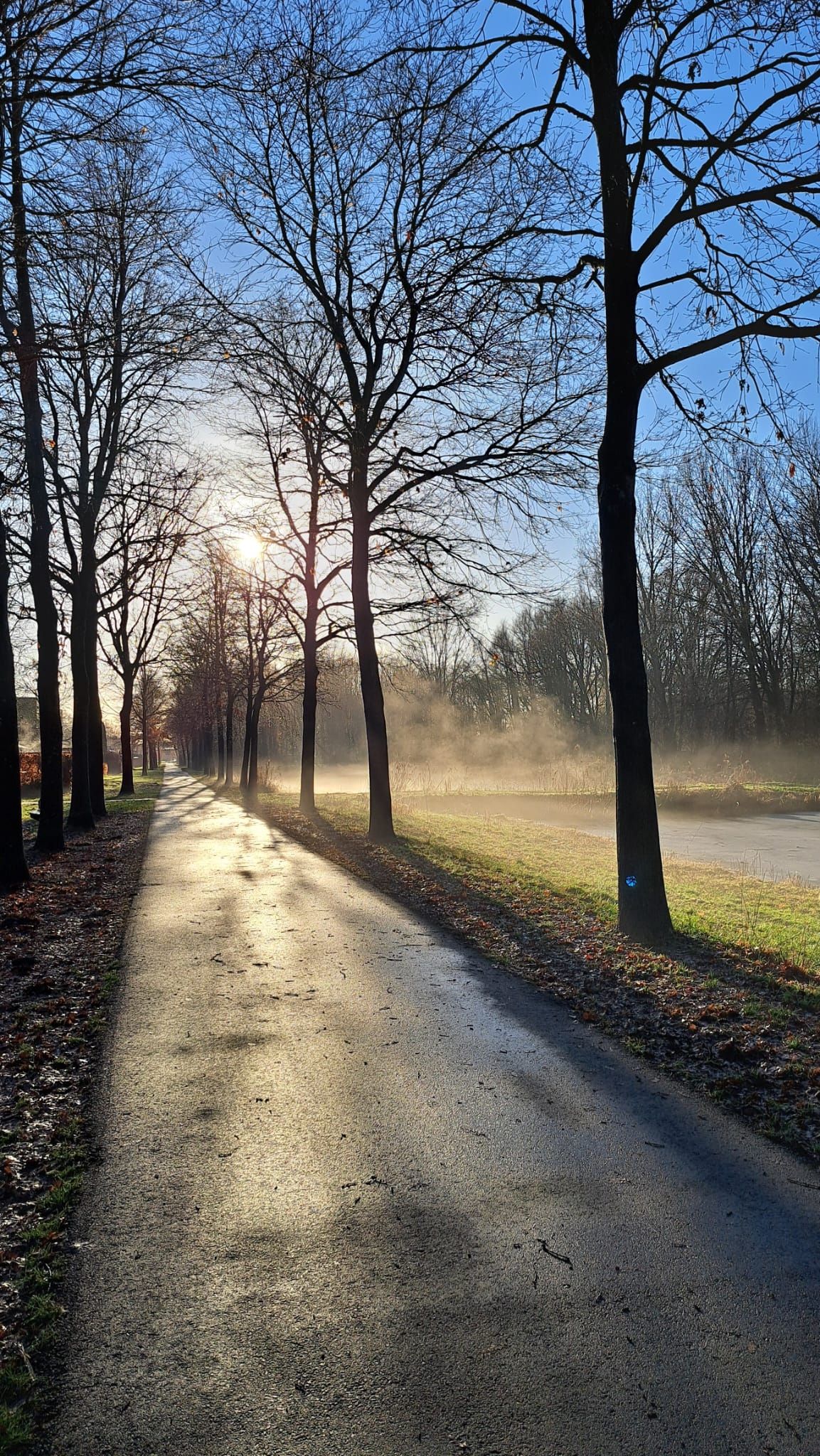 Photo 34 of Jarenweg 45