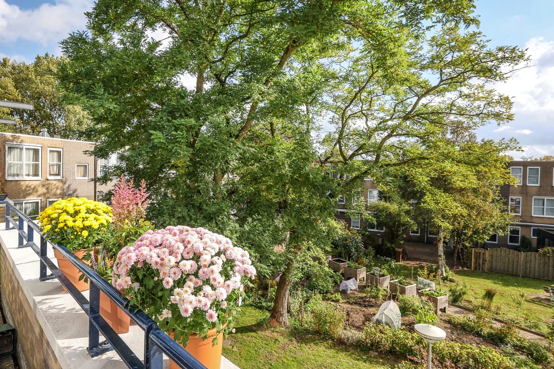 Foto 17 van Kotteraarstraat 28