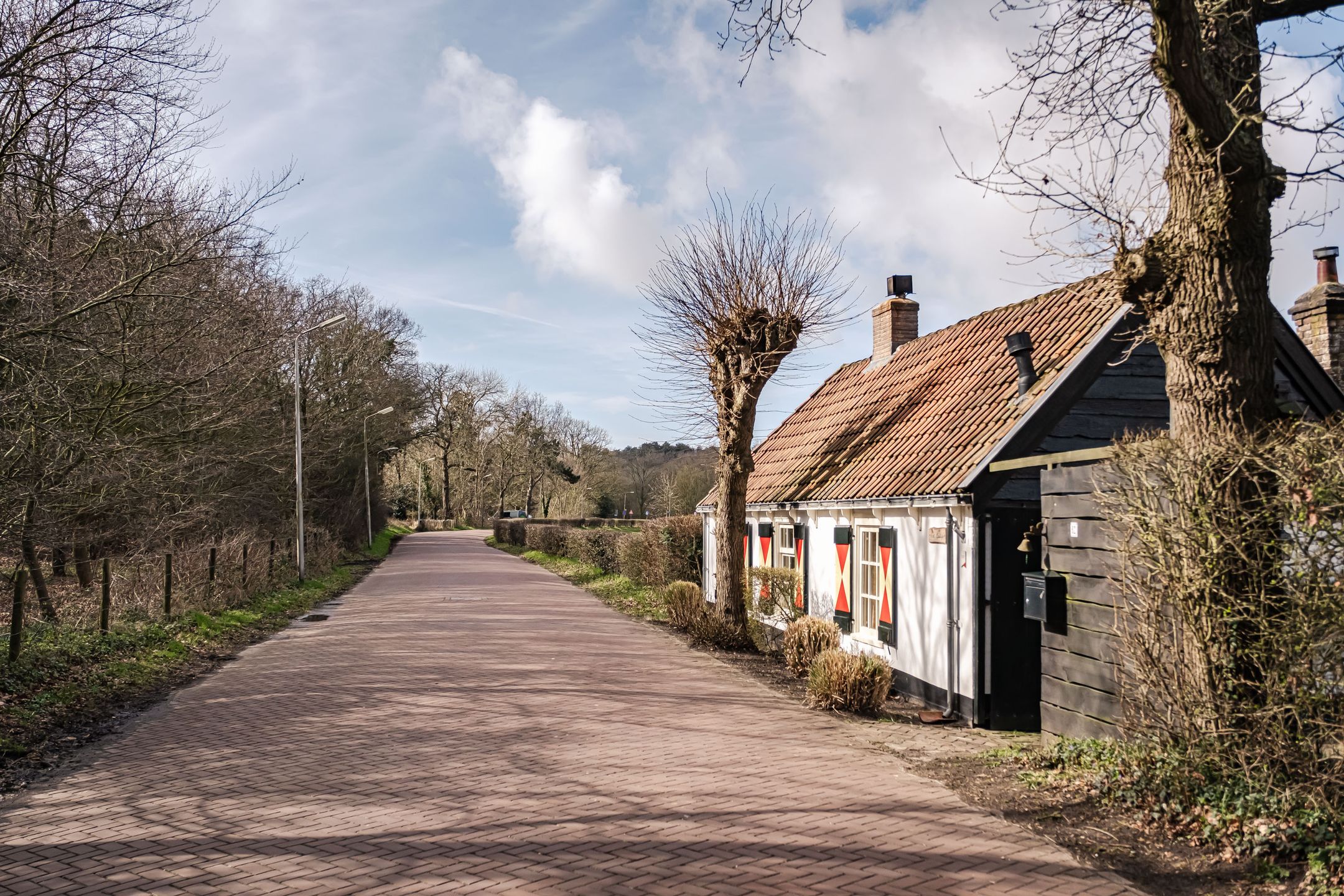 Photo 6 of Middenduinerweg 82