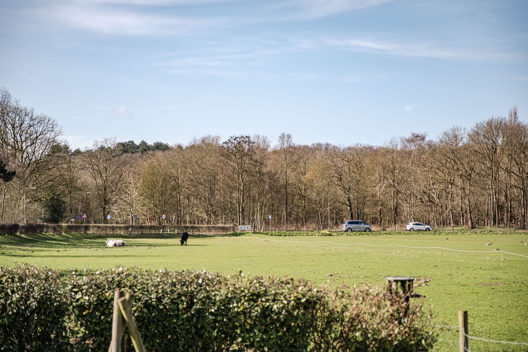 Photo 12 of Middenduinerweg 82