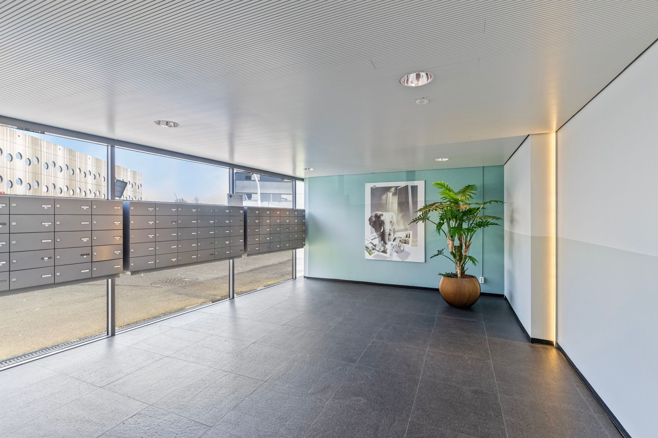 Foto 6 van Boumaboulevard 223