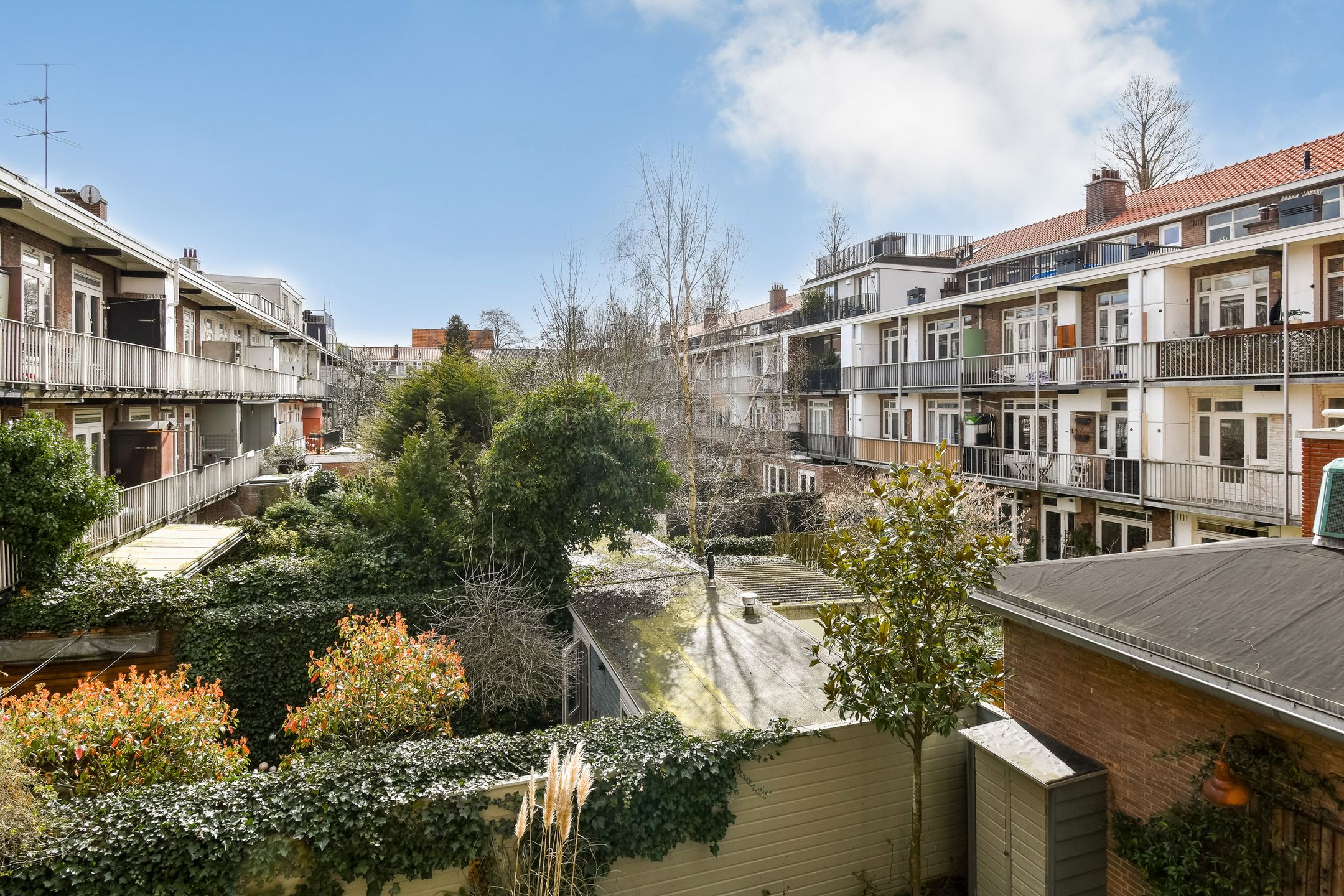 Foto 15 van Woestduinstraat 16-A