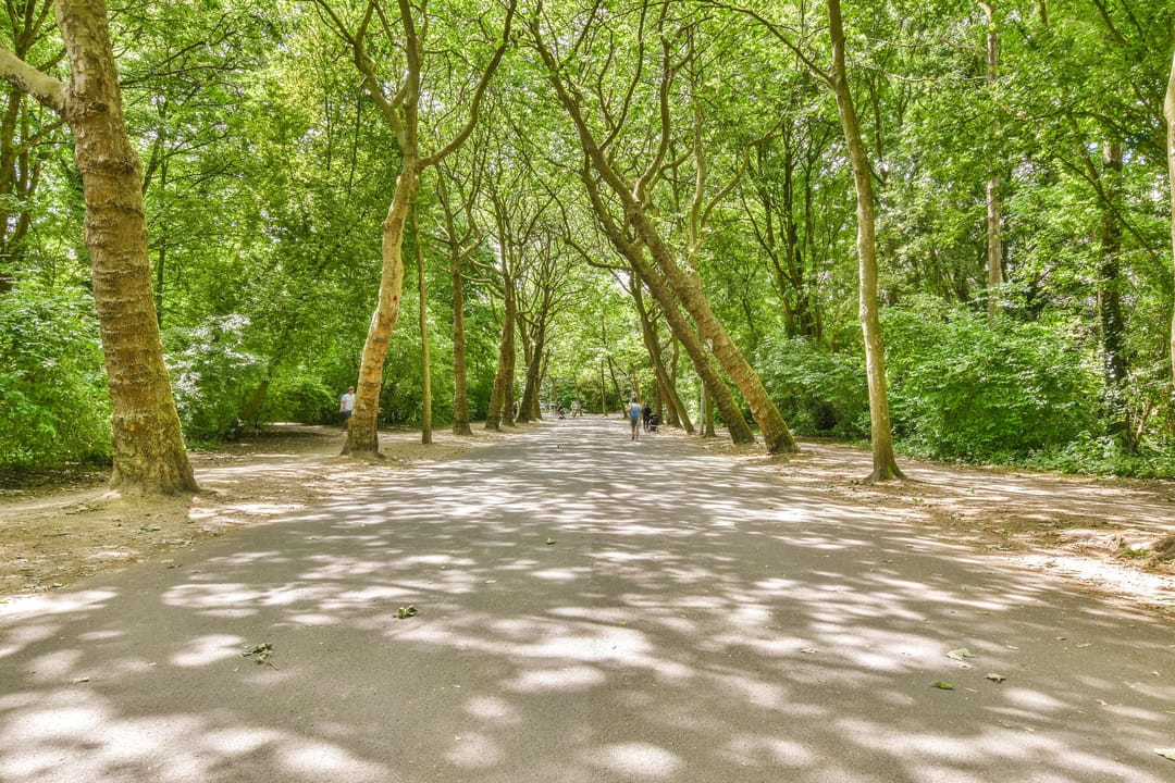 Foto 26 van Woestduinstraat 16-A