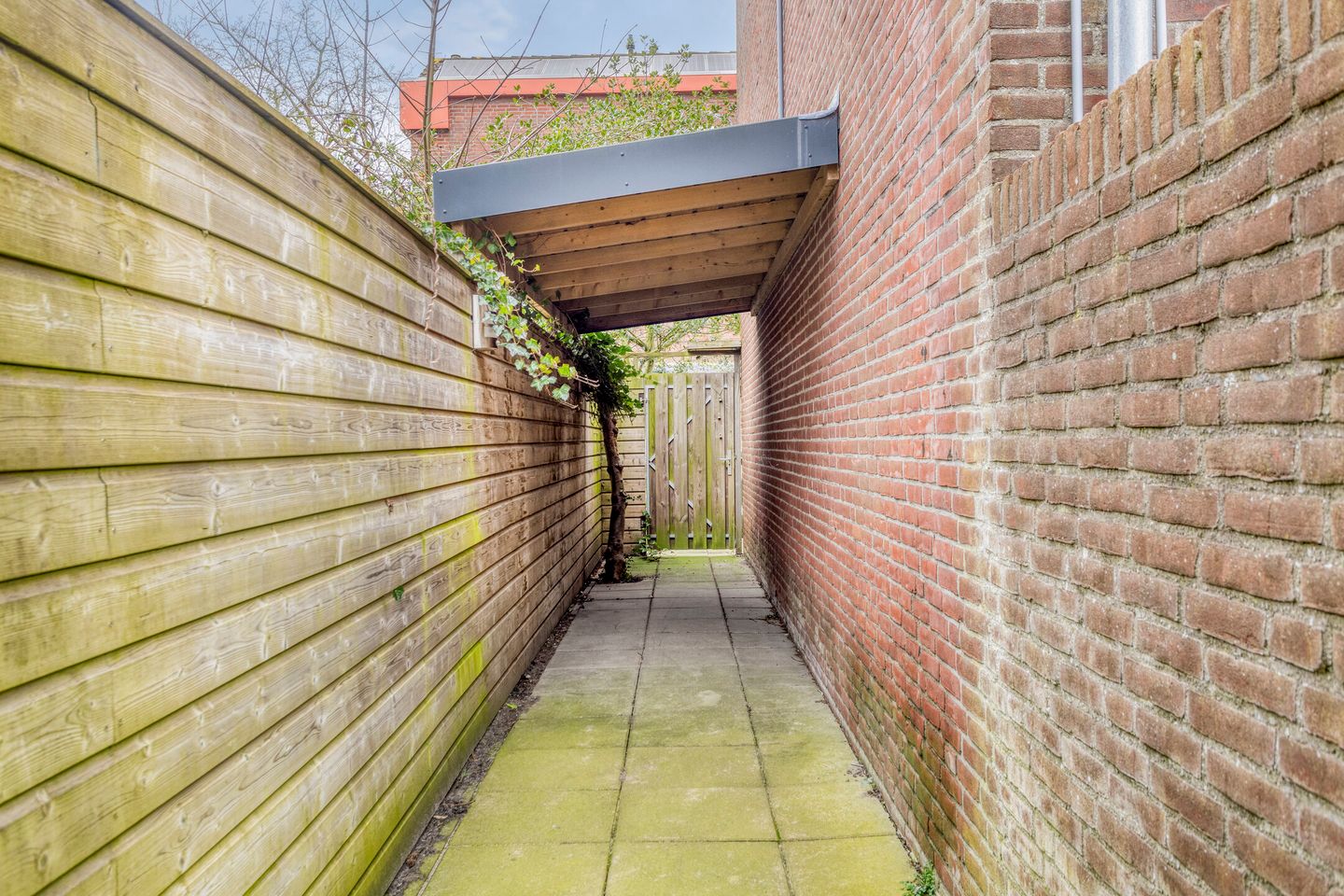 Foto 44 van Brielse Meer 27