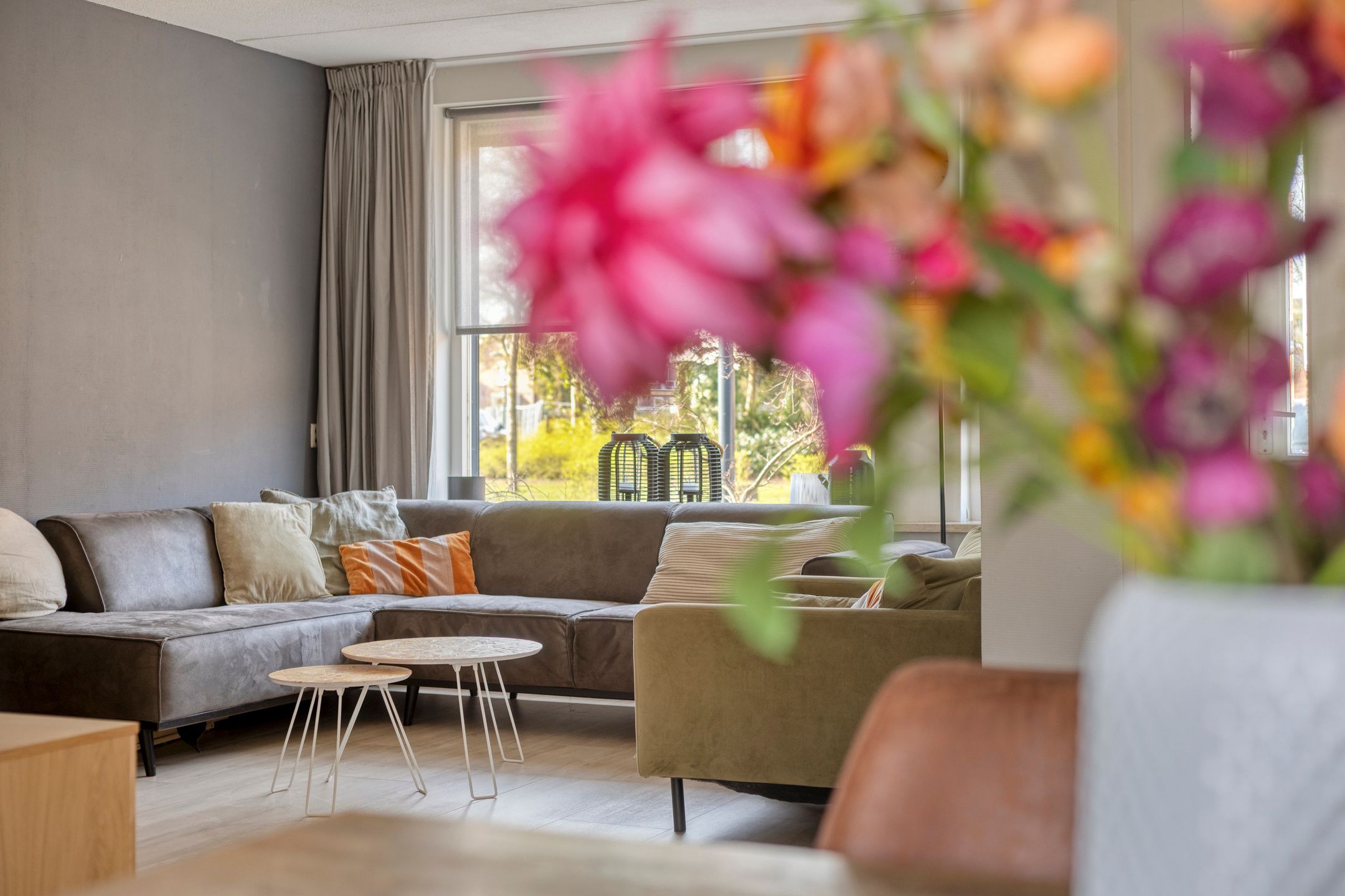 Foto 18 van Pashof 4