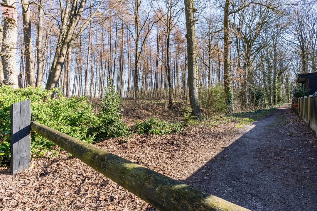 Foto 28 van Meerboomweg 115