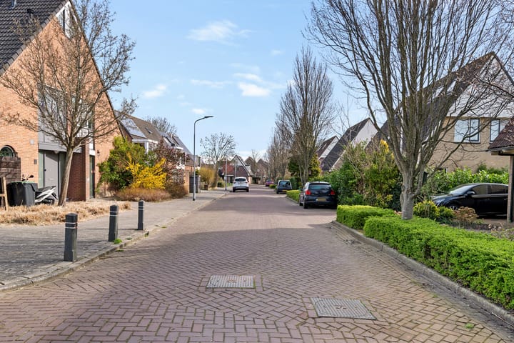 Foto 4 van Waterdrieblad 19