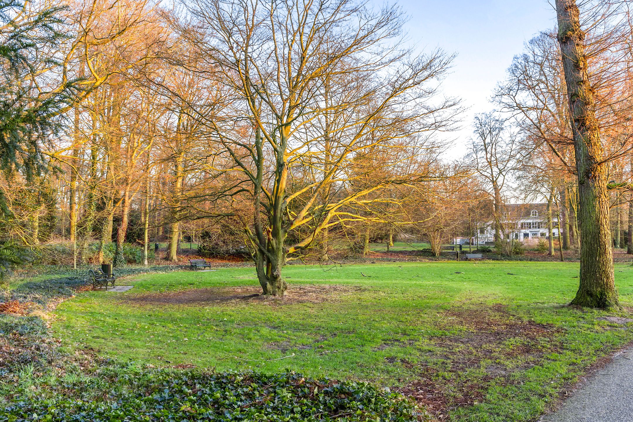 Foto 33 van Blekerssingel 71