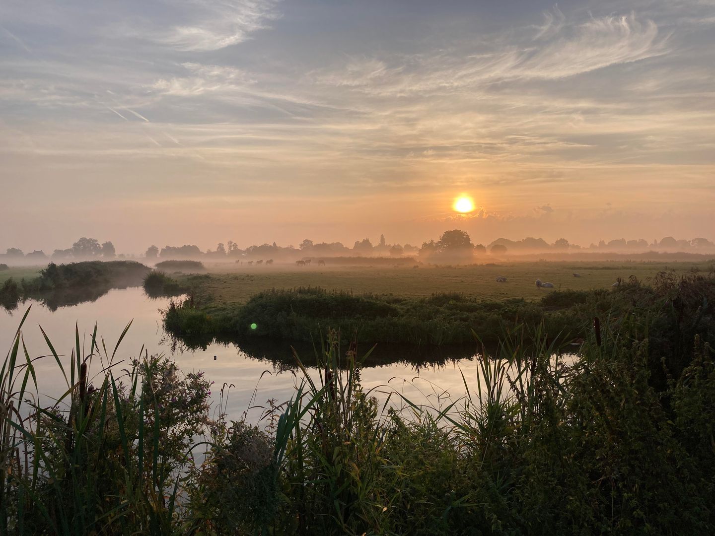 Foto 35 van Wederik 12