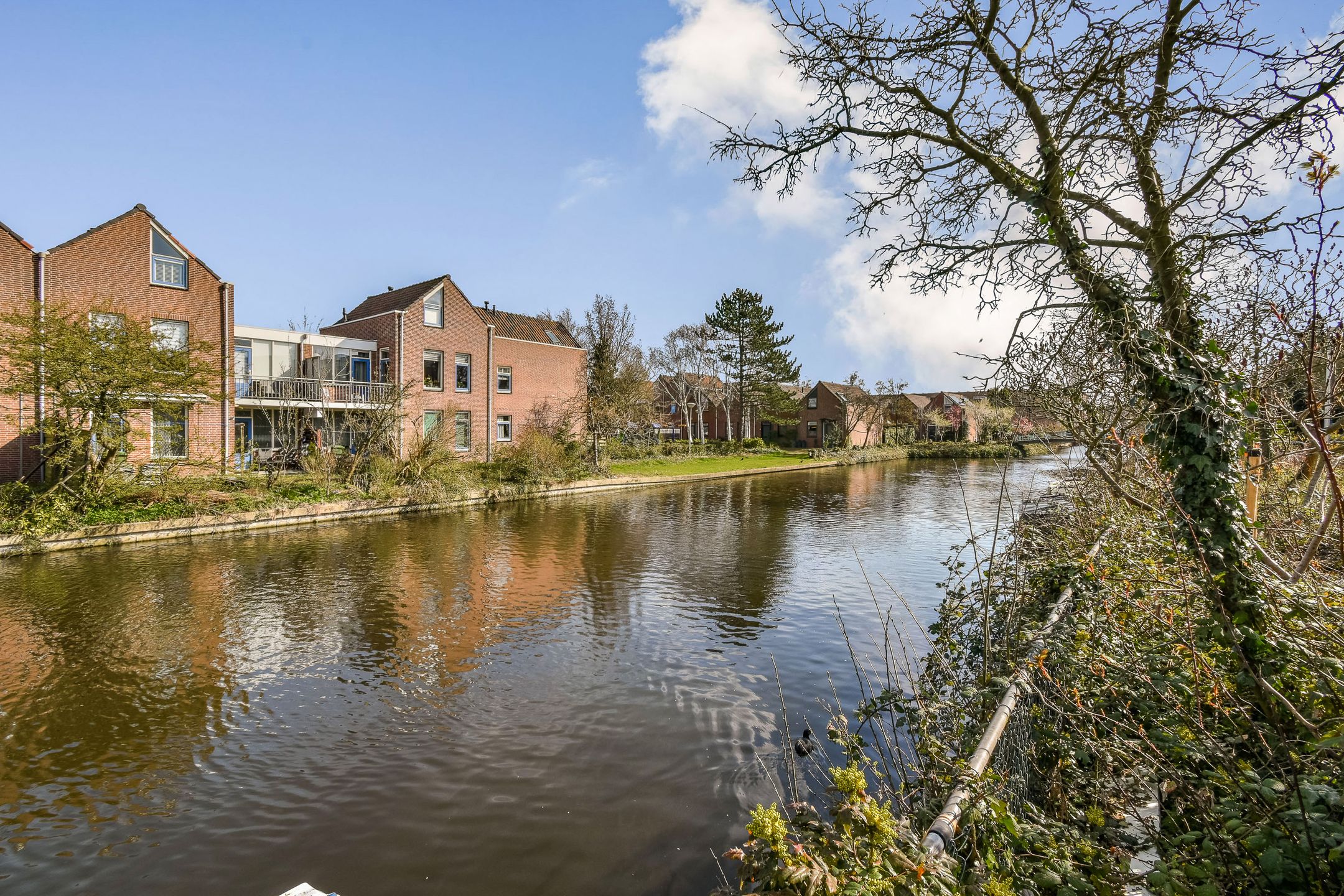 Photo 27 of Meidoorn 25