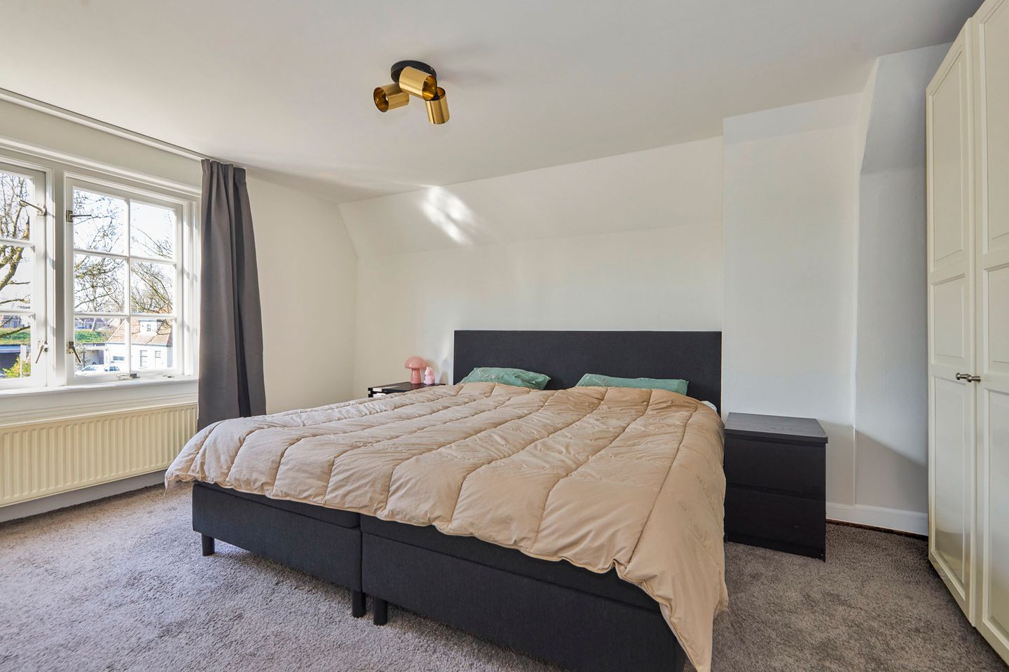 Foto 4 van Zuiderweg 166