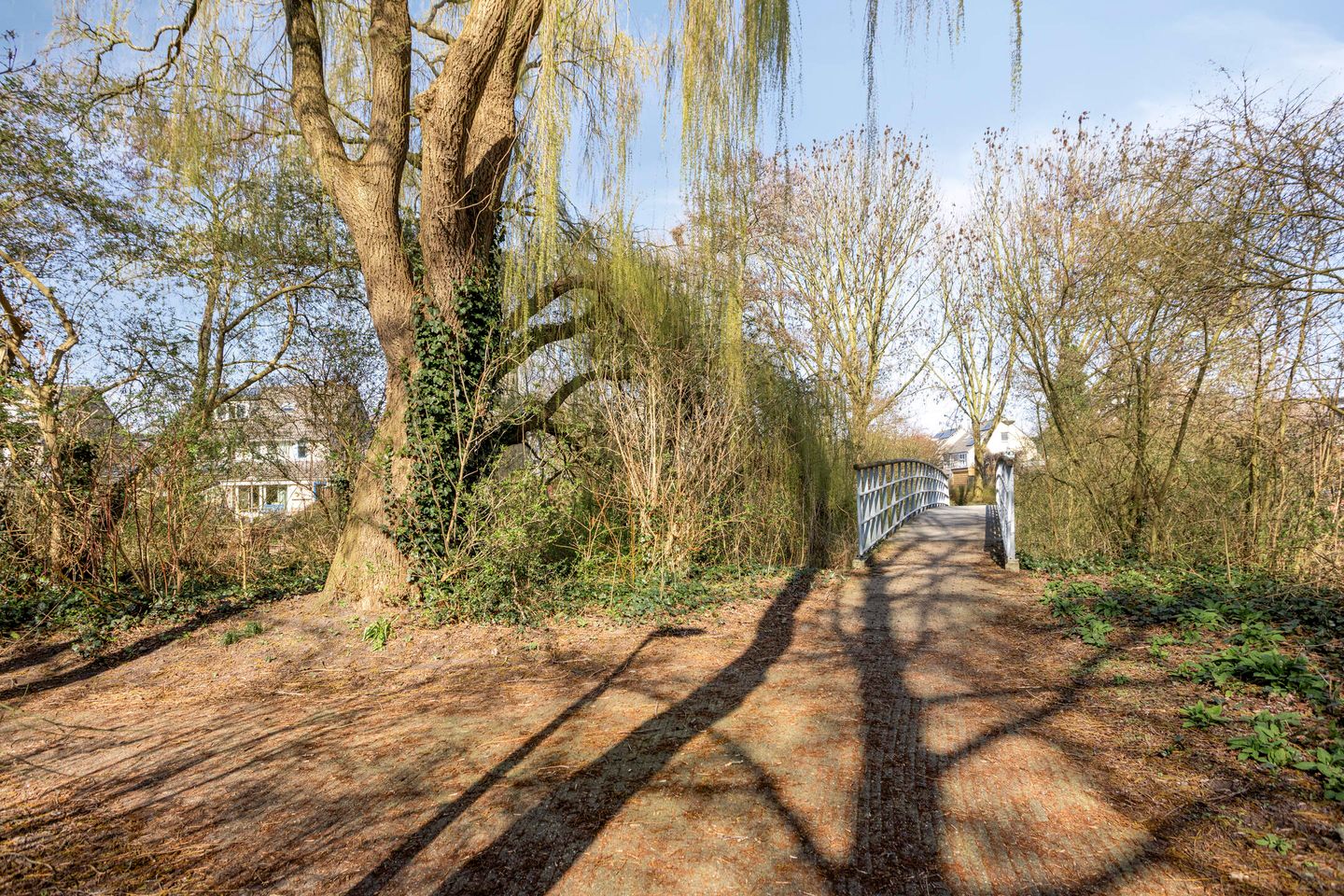 Foto 40 van Severijnpad 14