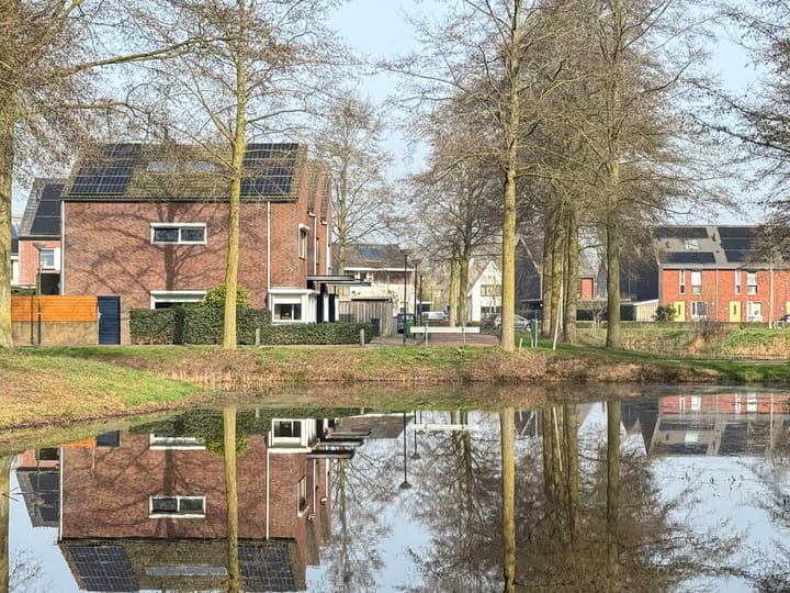 Foto 5 van Haagwinde 14