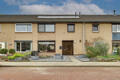 Graaf Reinaldstraat thumbnail